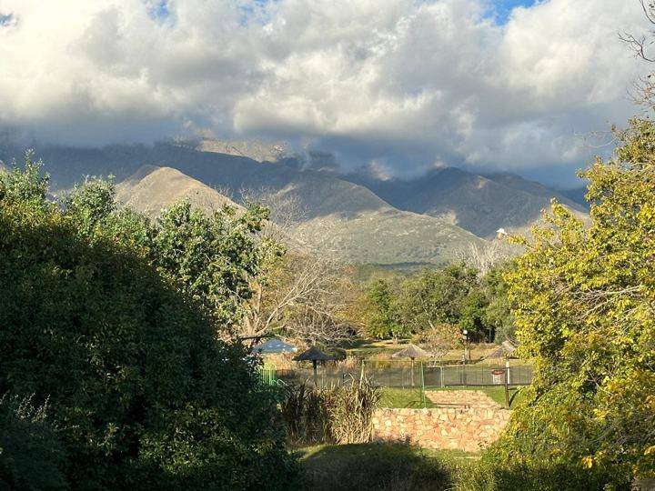 Vista desde el patio