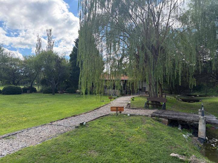 Parque y laguna