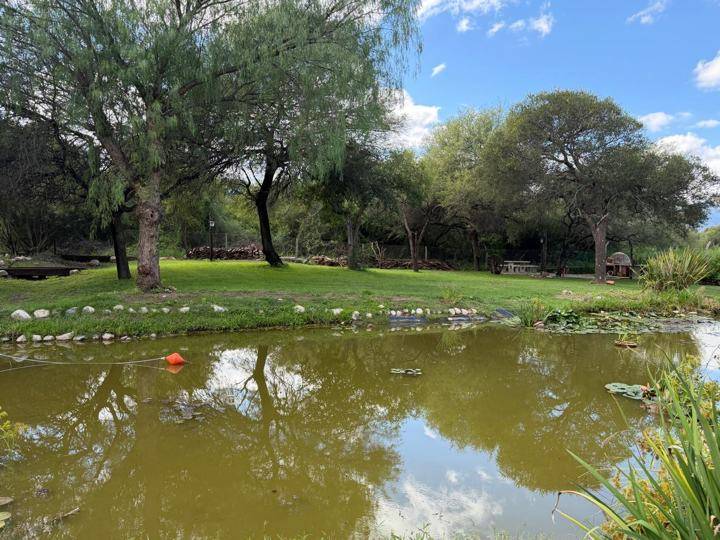 Laguna al mediodía